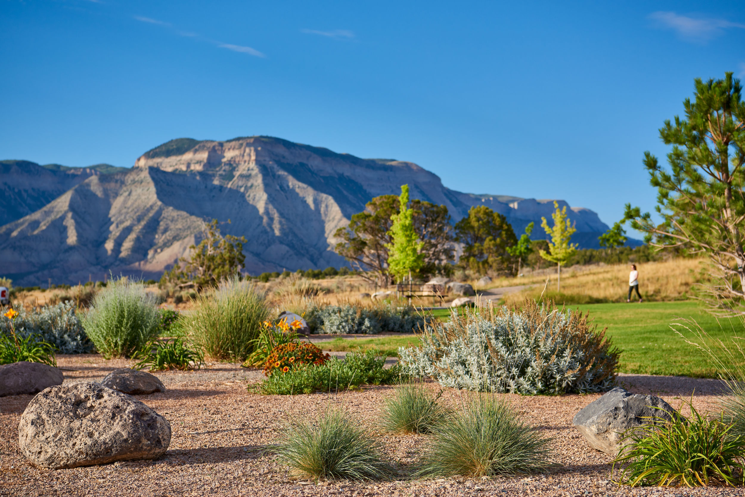 Connect One Design Battlement Mesa Park